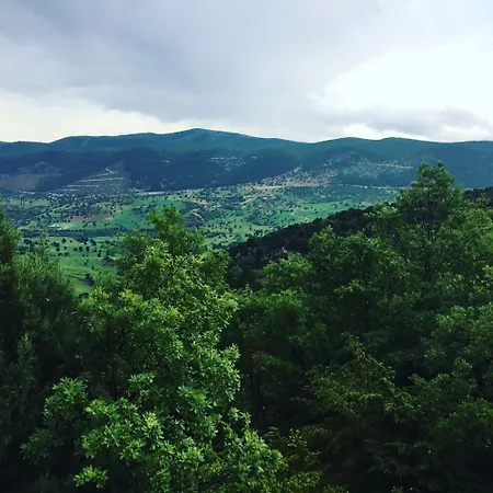 Guest house Merkez *