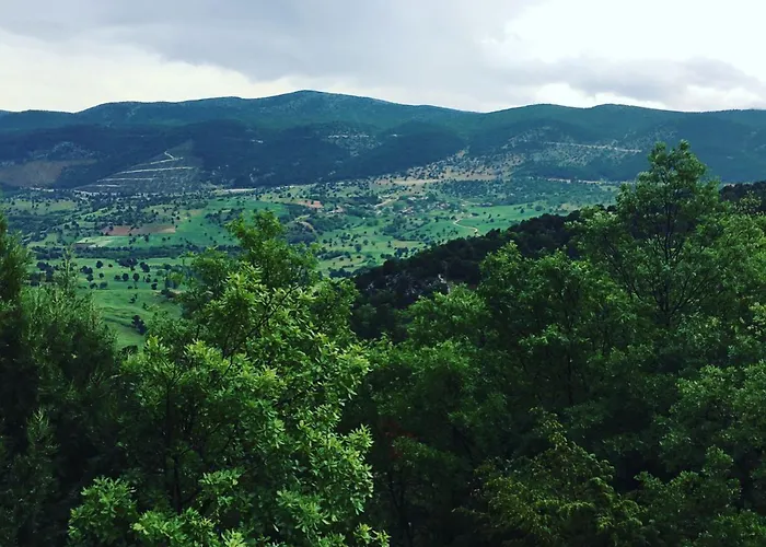 Vendégház Merkez *